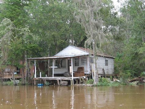 louisiana swamp houses for sale.